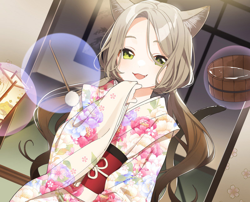 シンガプーラ猫