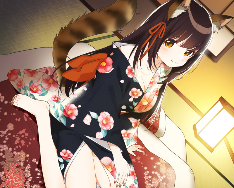 メインクーン猫