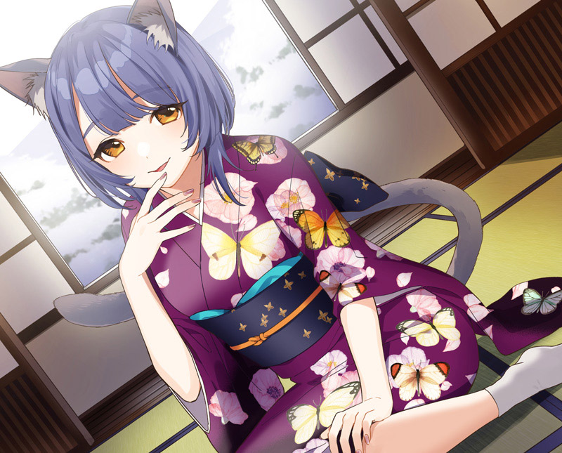 シャルトリュー猫