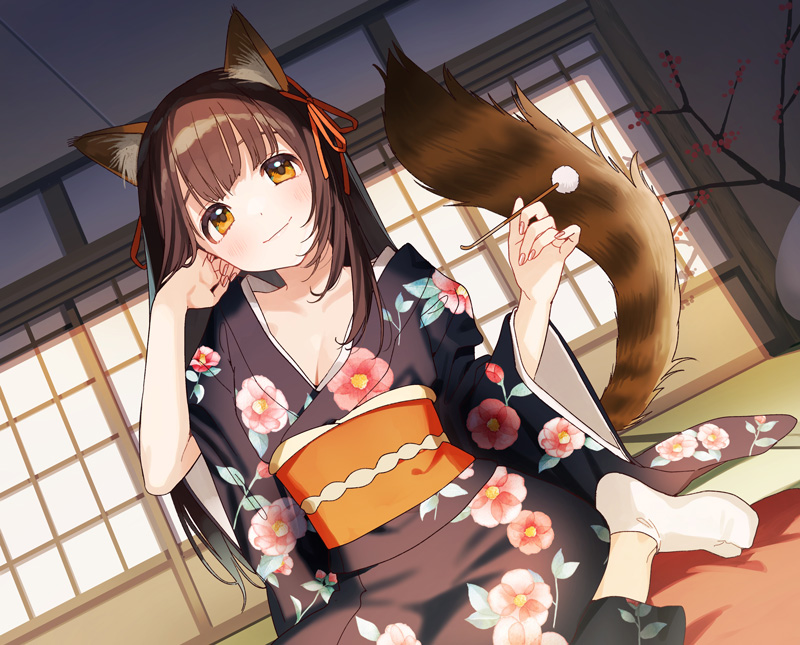 メインクーン猫